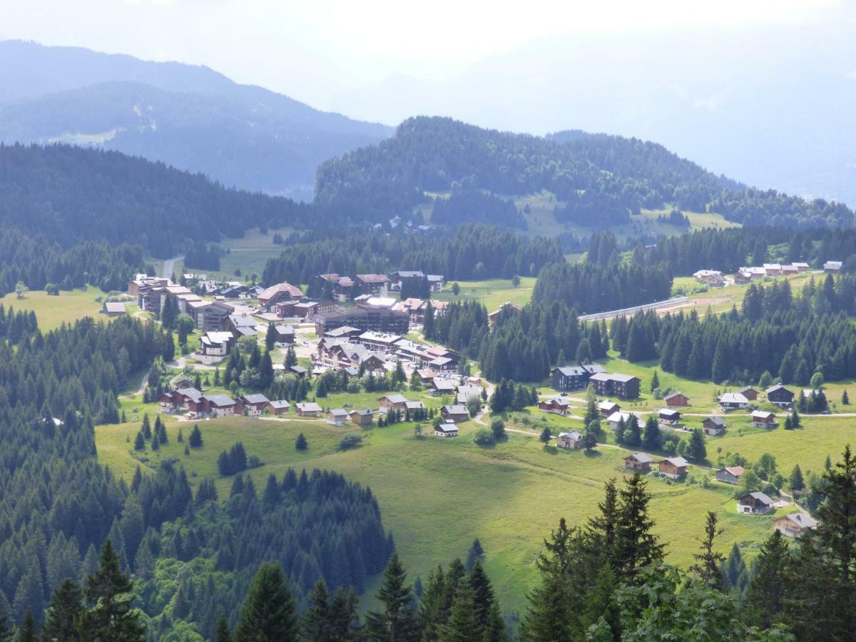 Le Genepi Apartment Taninges Exterior foto